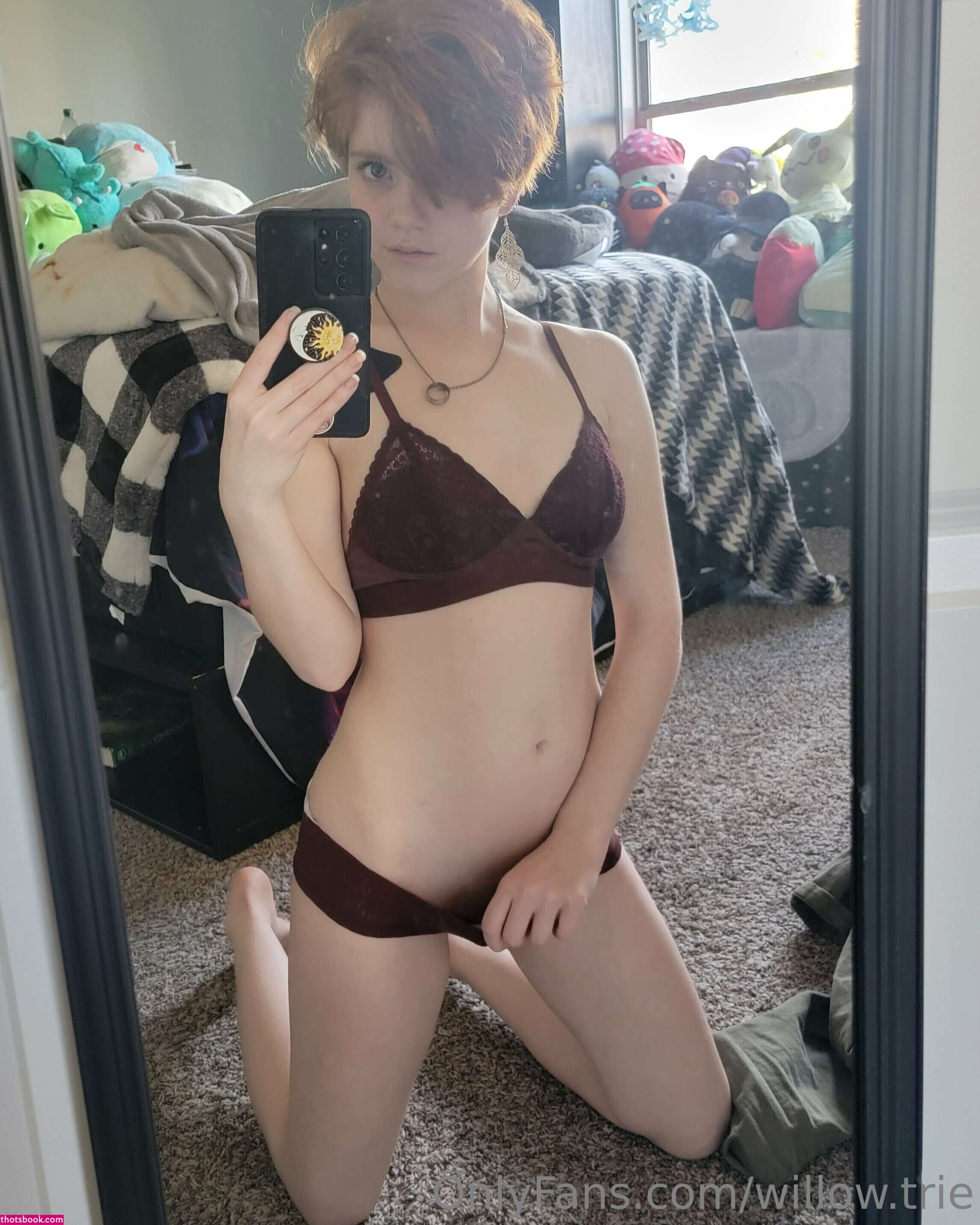 Willow Trie Photo #29