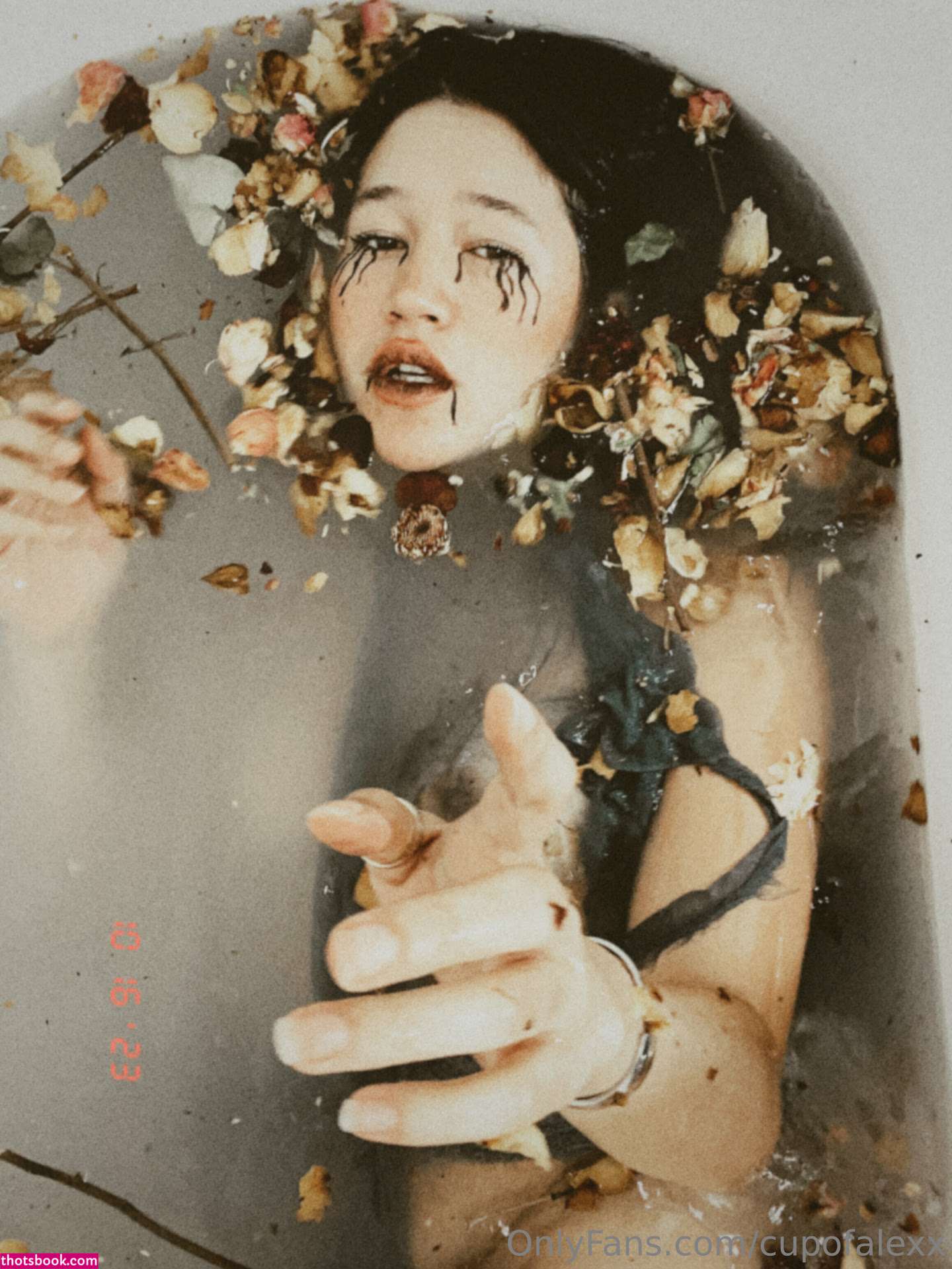 Cupofalexx Photo #158