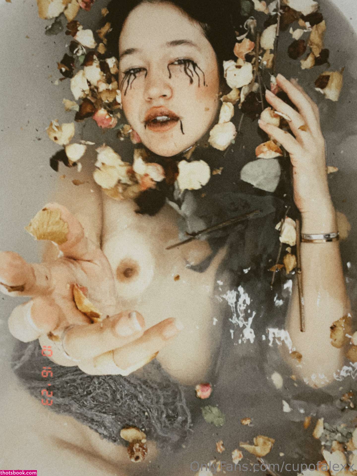 Cupofalexx Photo #162