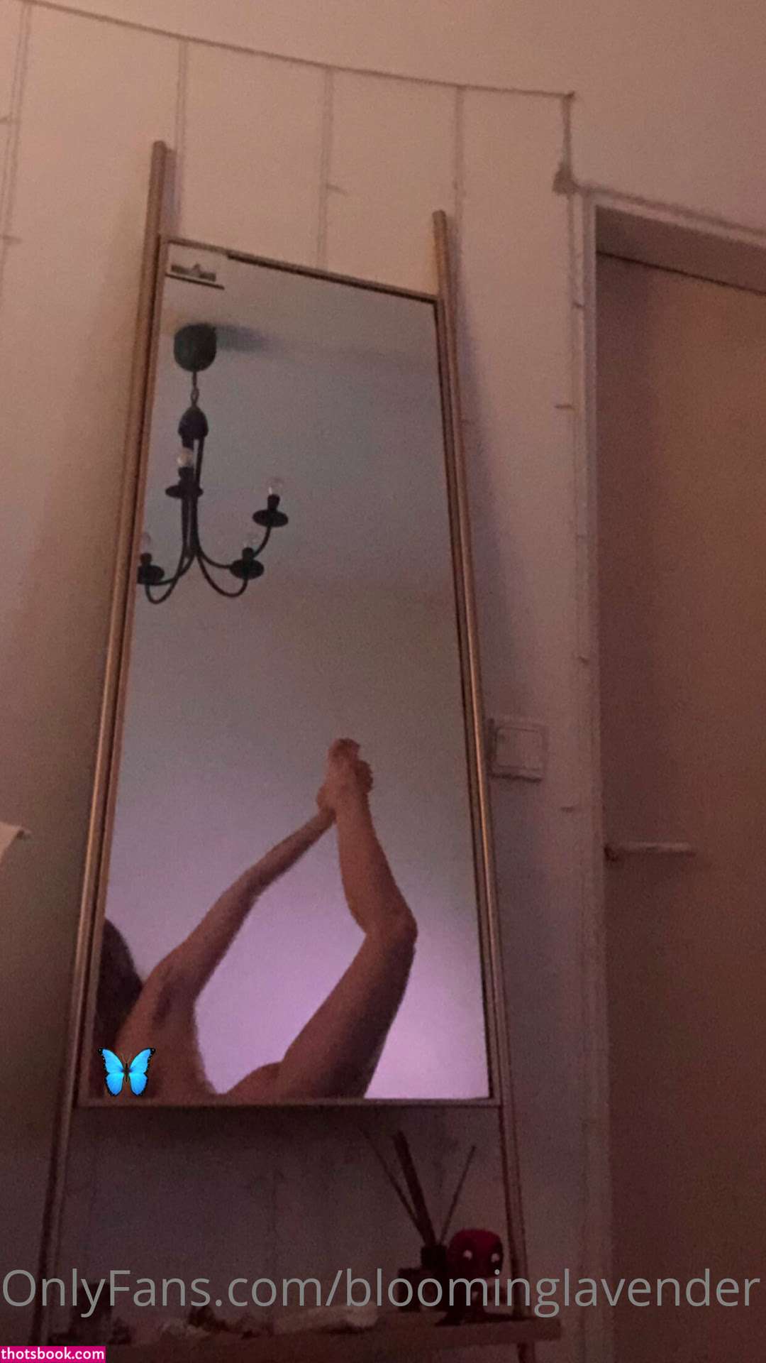 Chen Cohen Photo #29