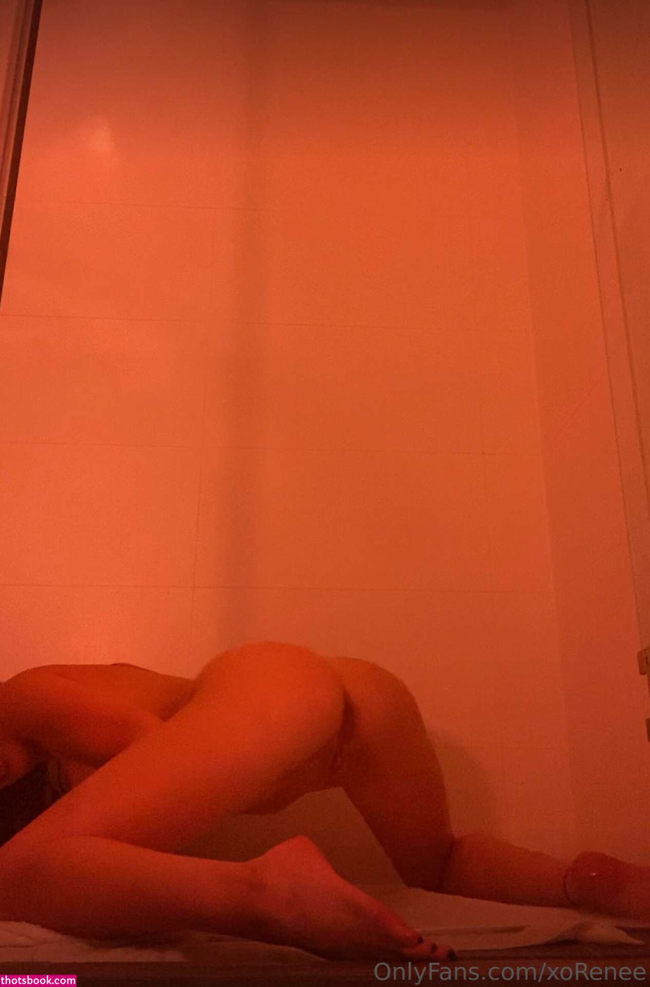 Renee Olstead Photo #212