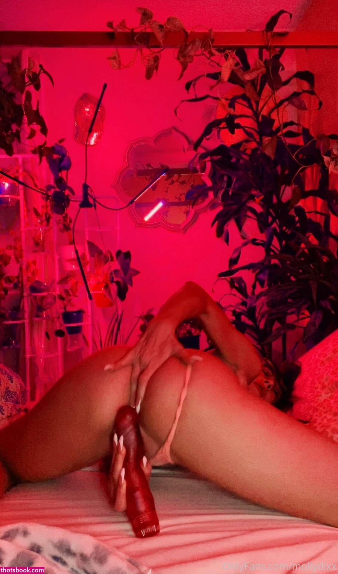 Molly Dixx Photo #63