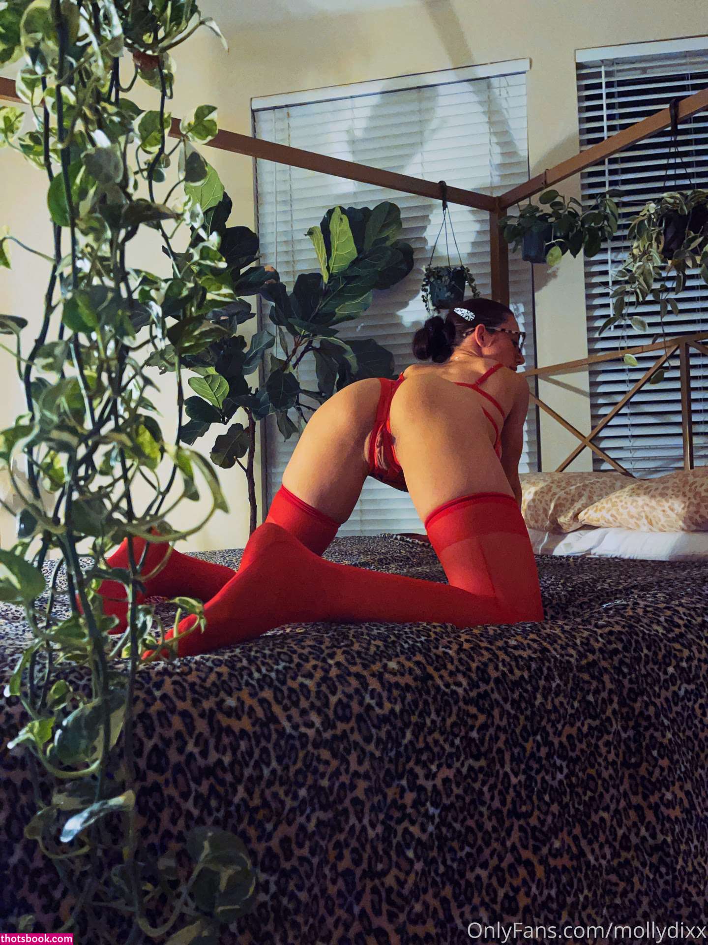 Molly Dixx Photo #235