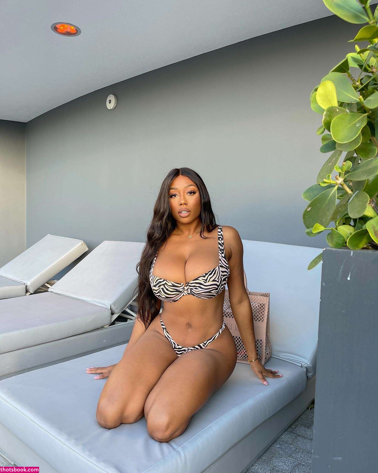 Vivipanameraofficial Photo #15