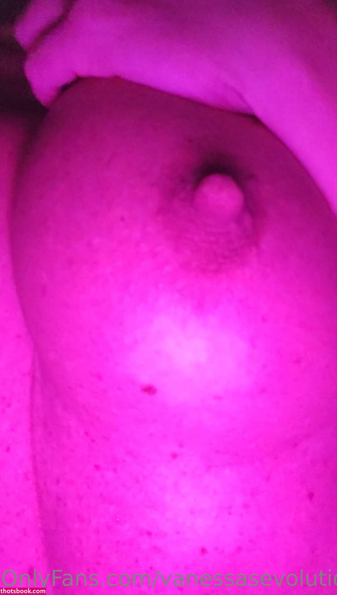 Vanessas Evolution Photo #8