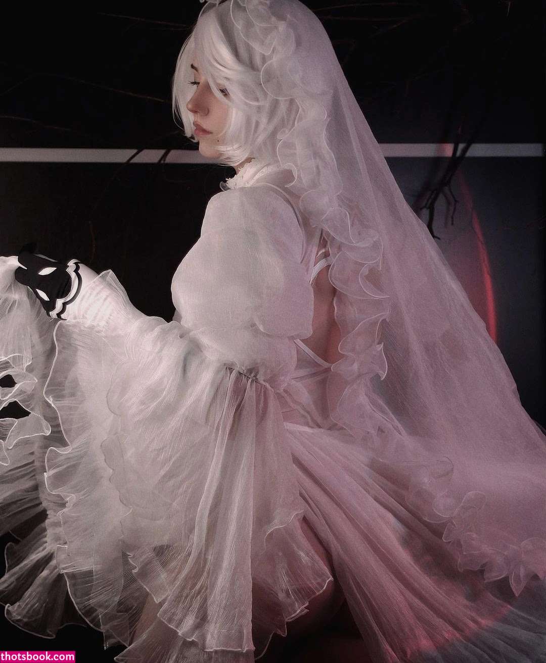 Dolchstosss Photo #13