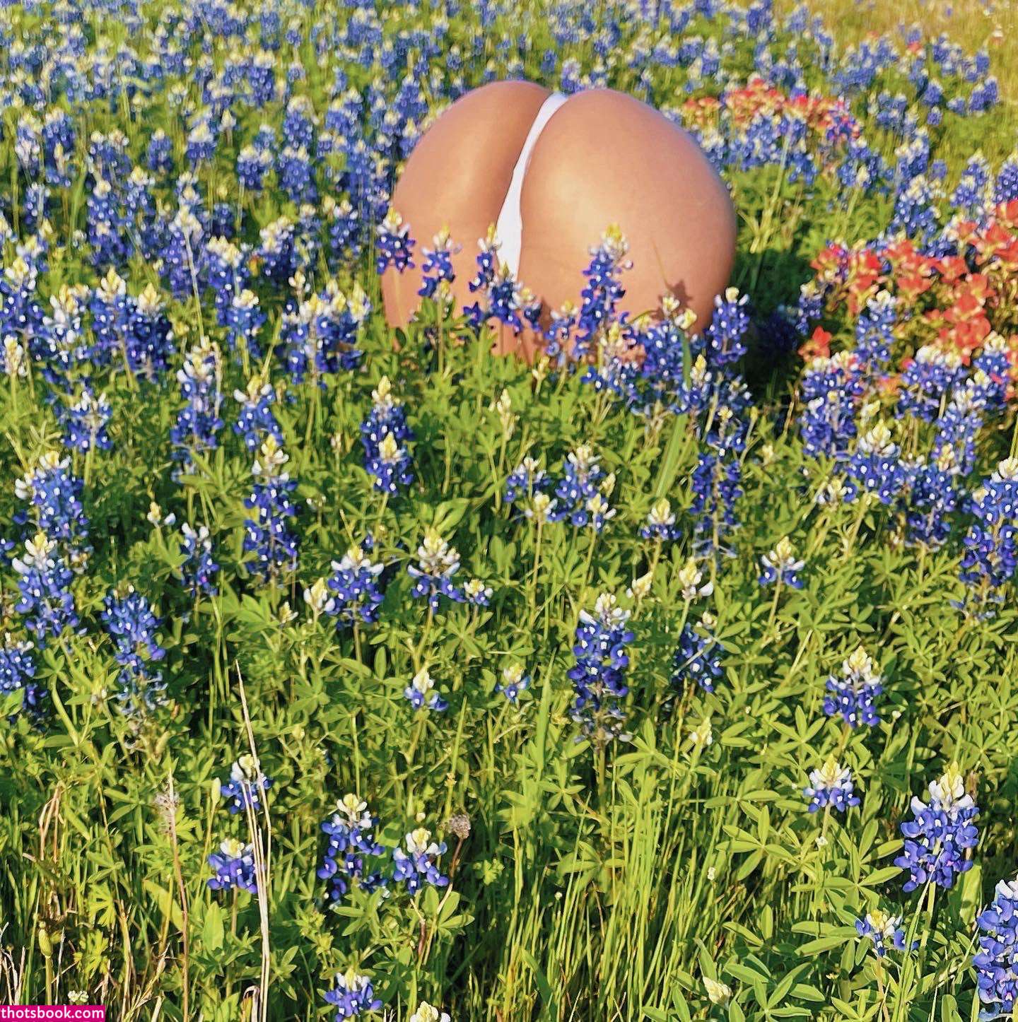 Regina Unite Photo #18