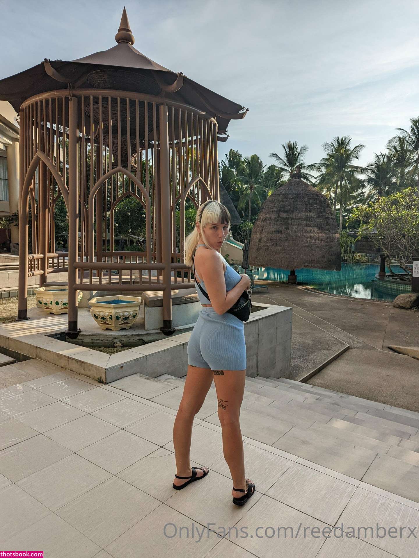 Reed Amber Photo #70