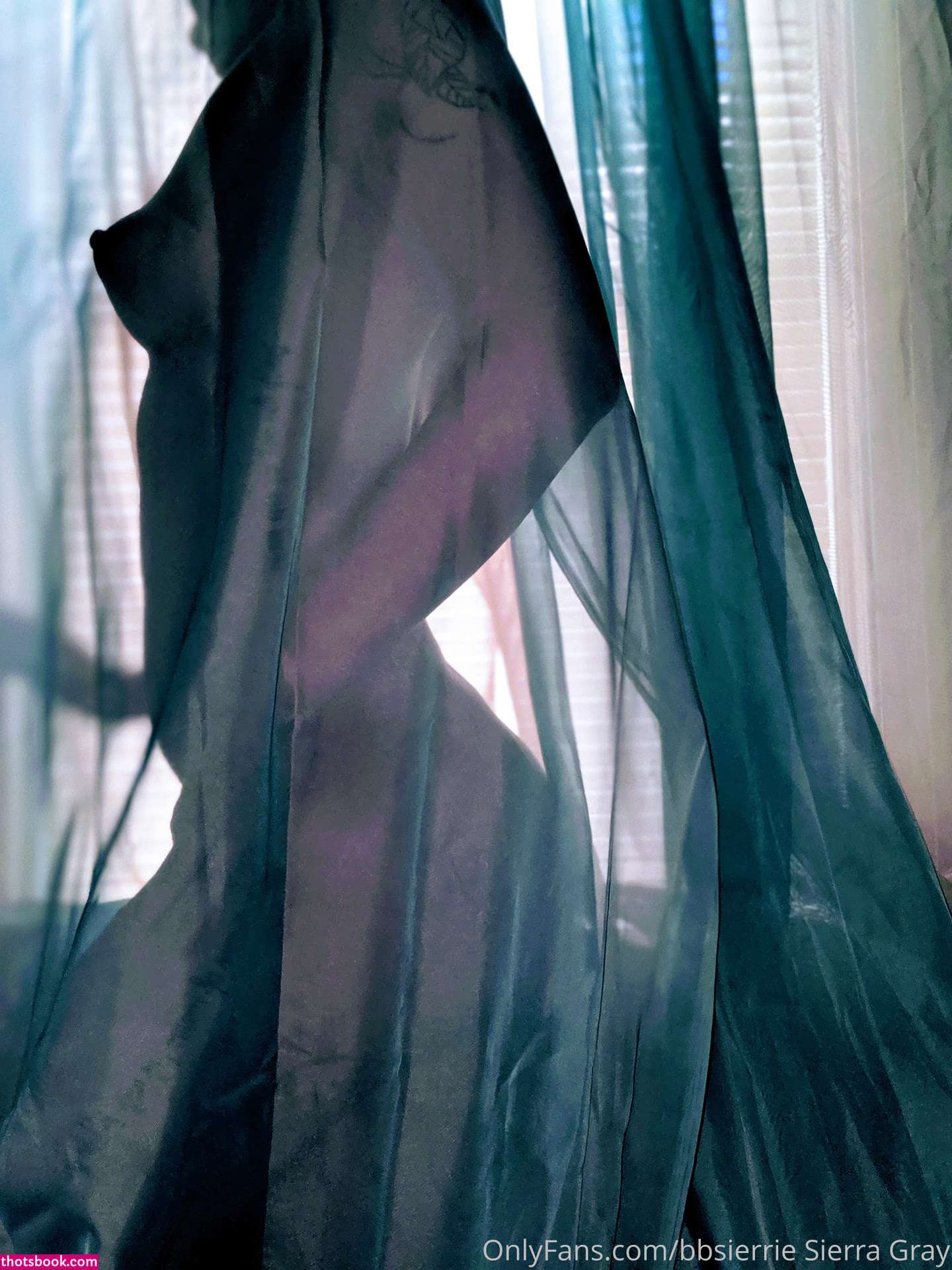 Sierra Gray Photo #2