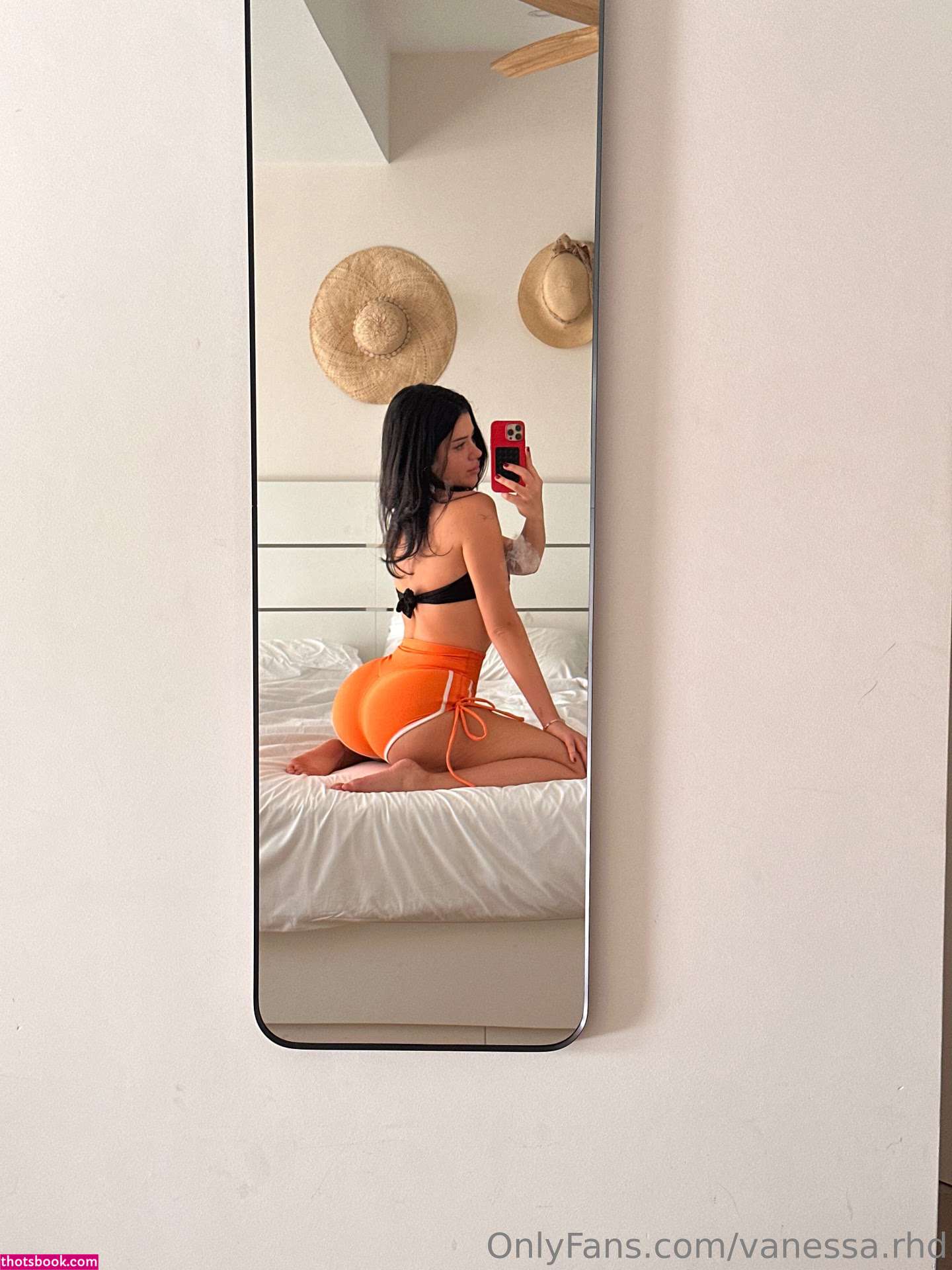 Vanessarhd Photo #1353