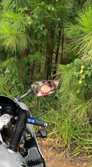 allesmedien Photo #49