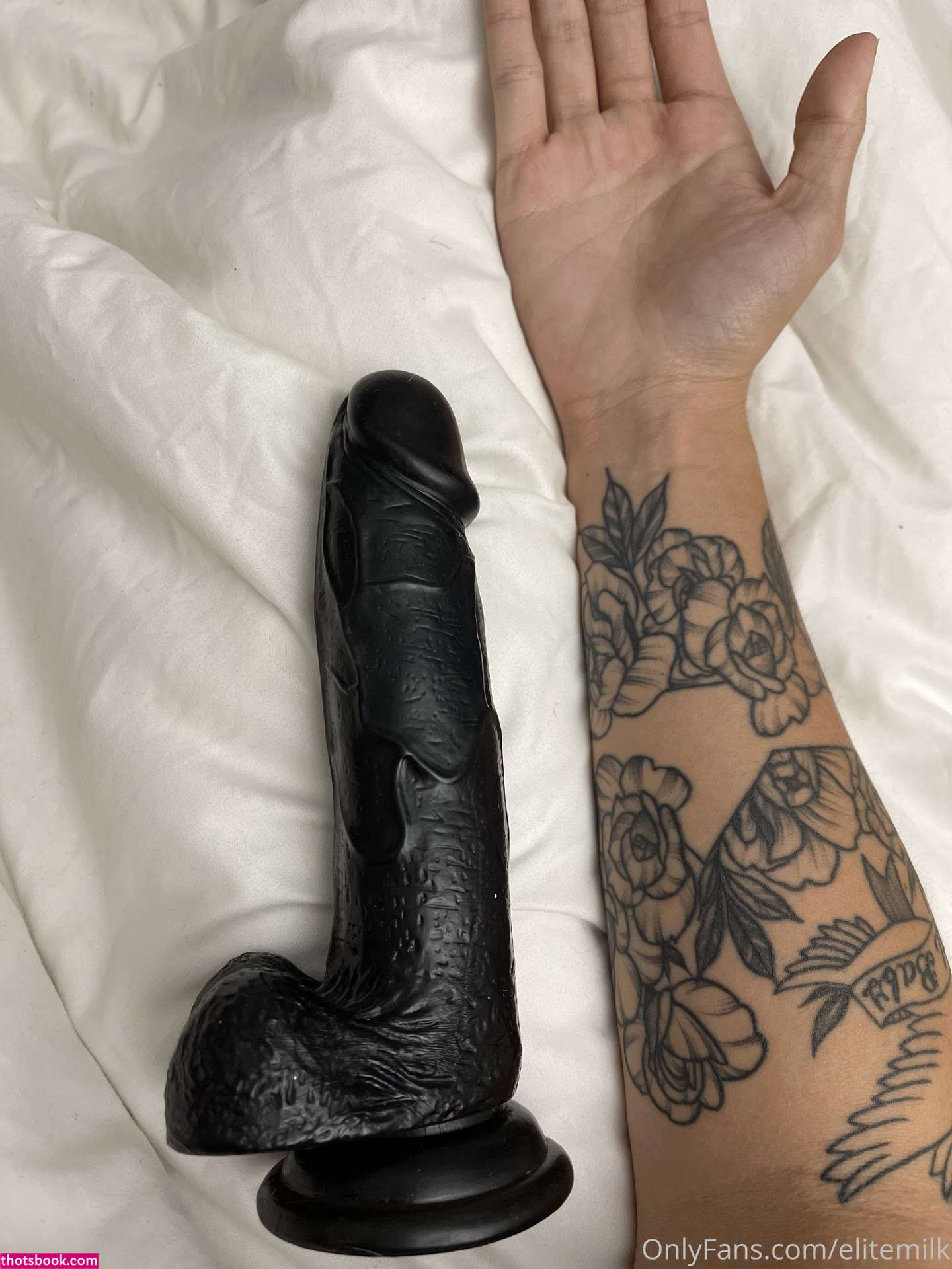 Elitemilk Photo #120