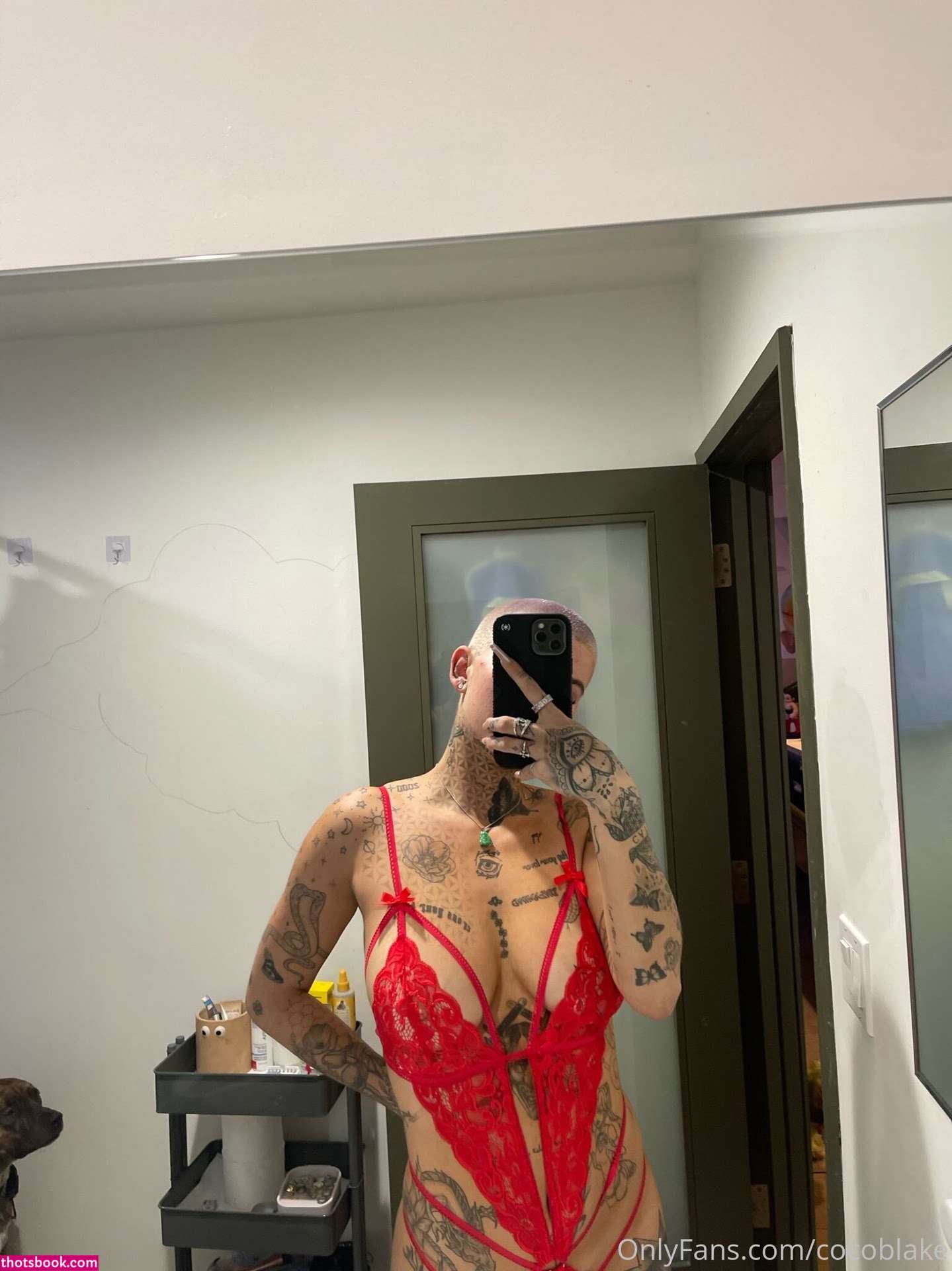 Coco Blake Photo #45