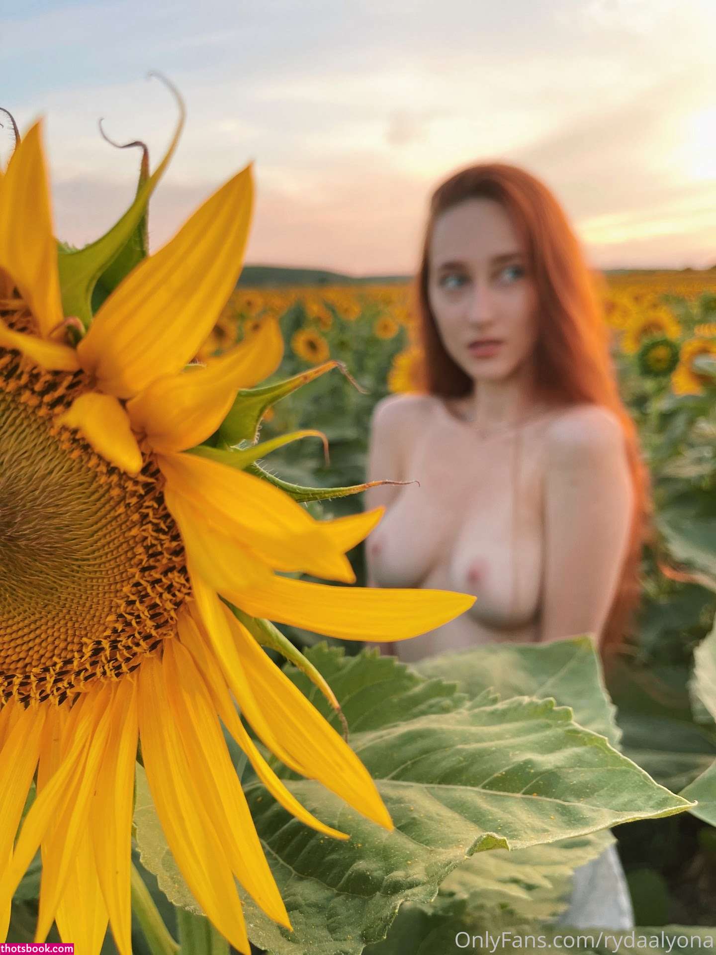 Anoylaadyr Photo #60