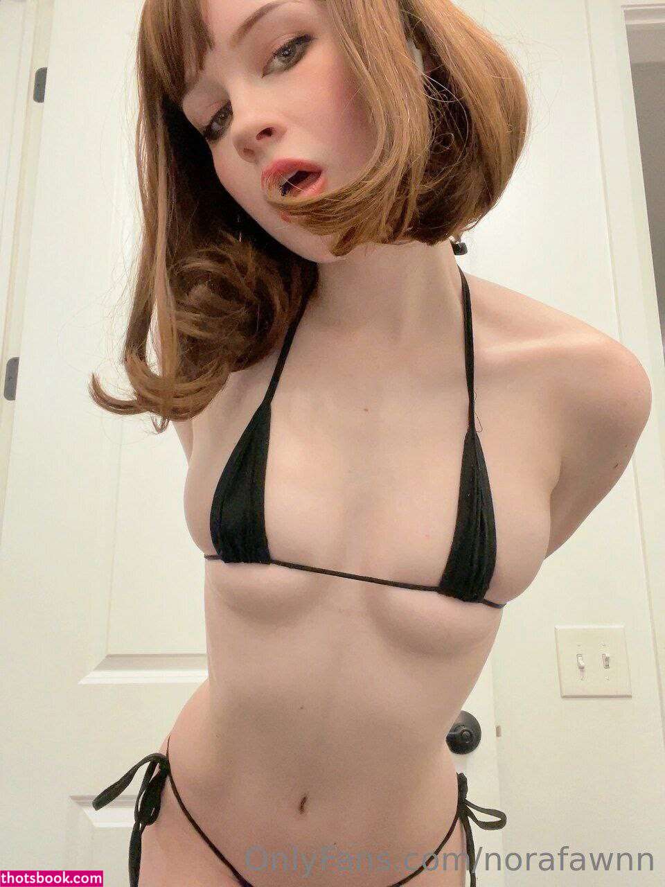 Norafawn Photo #1434