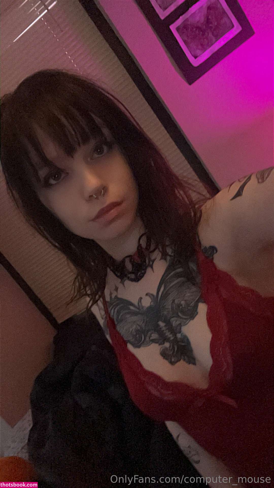 Computer Mouse Photo #24