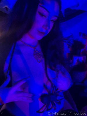 Midoribug Photo #205