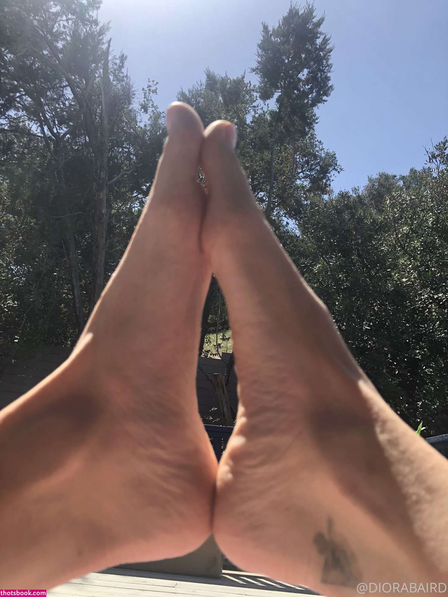 Diora Baird Photo #716