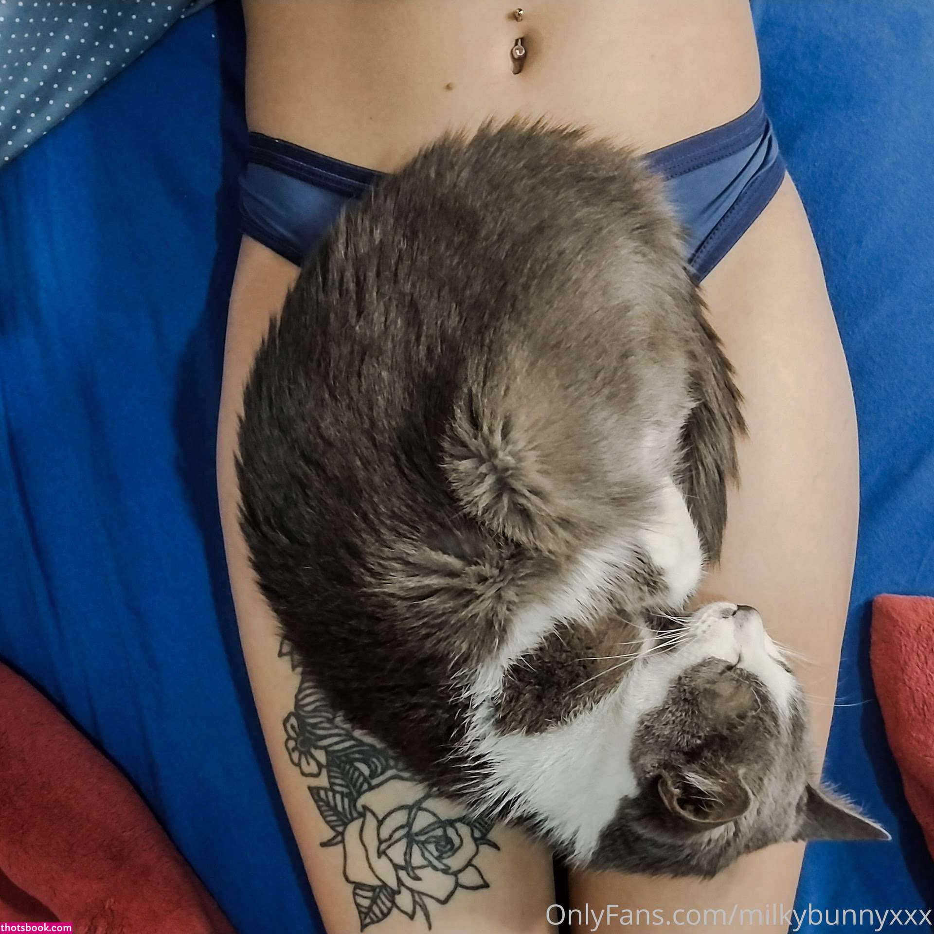 Hairyangela Photo #70