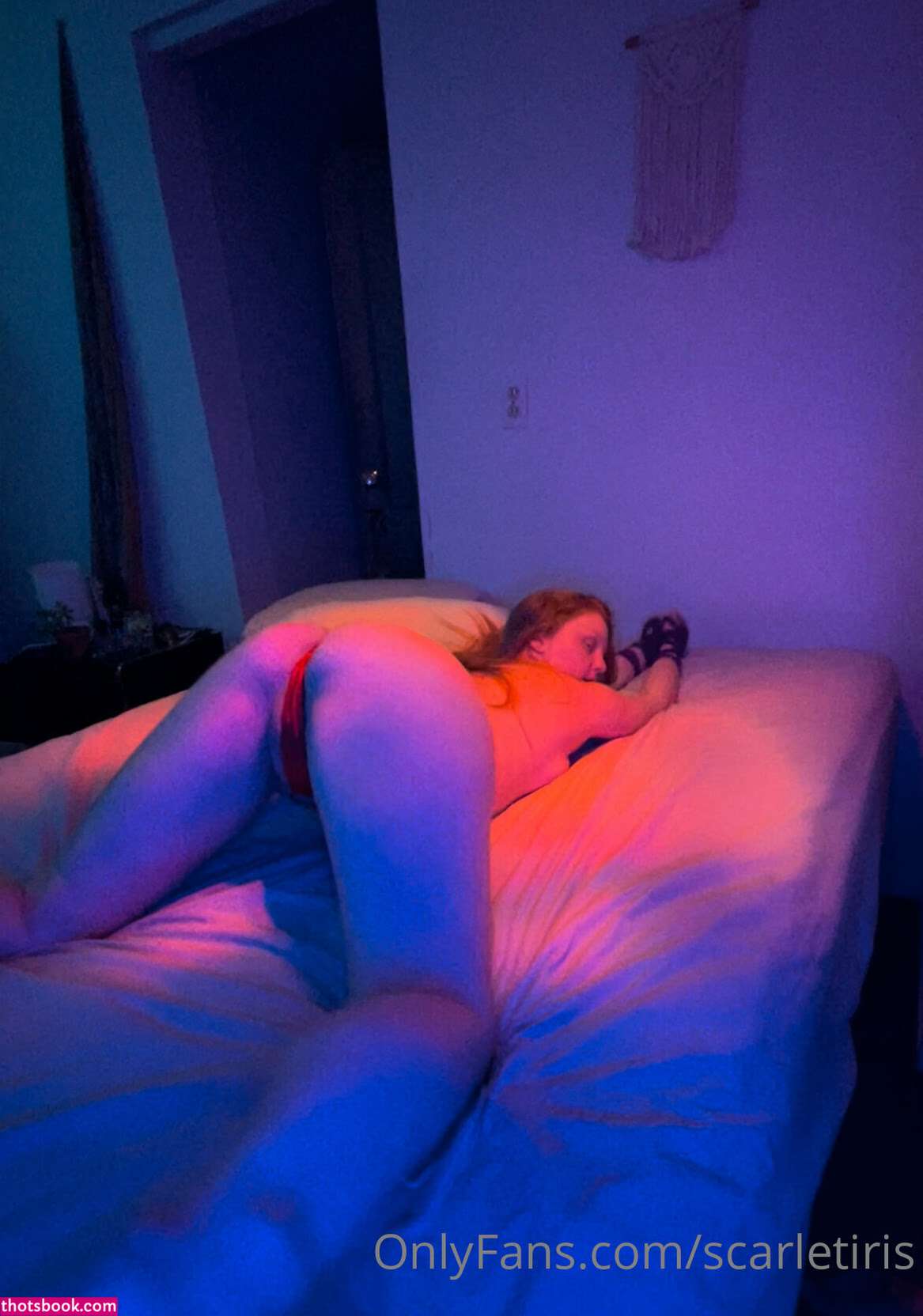 Scarletiris Photo #32