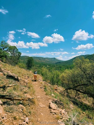 Bluebonnet Lynn Photo #21