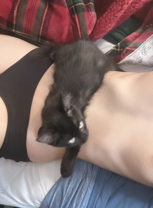 Elfinpsyop Photo #21