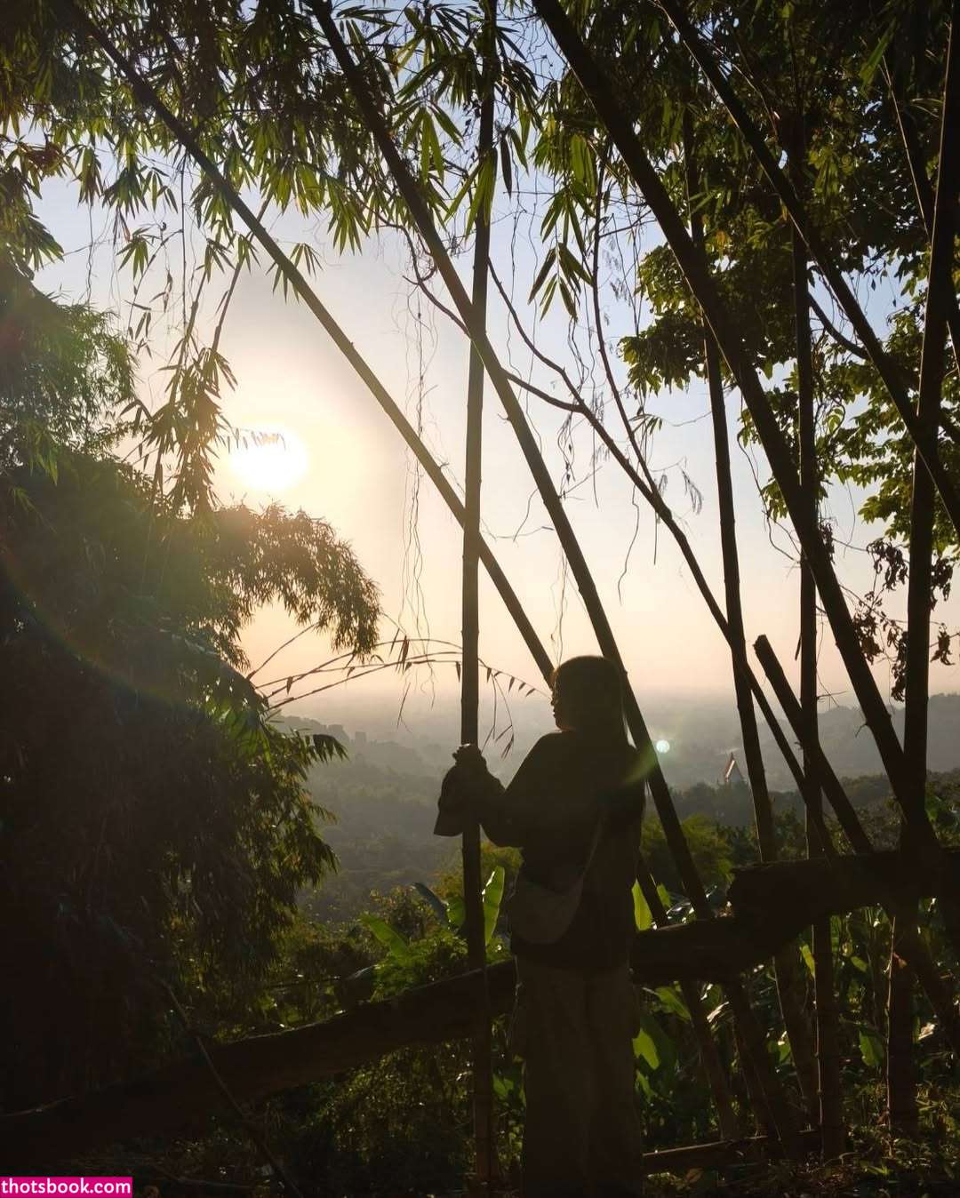 baimiminmint Photo #7