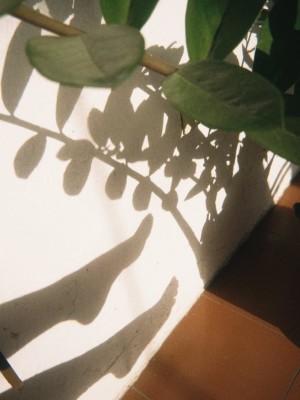 elitepinkbaby Photo #2