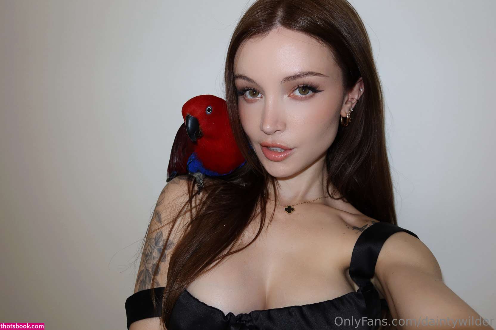 Dainty Wilder Photo #1405