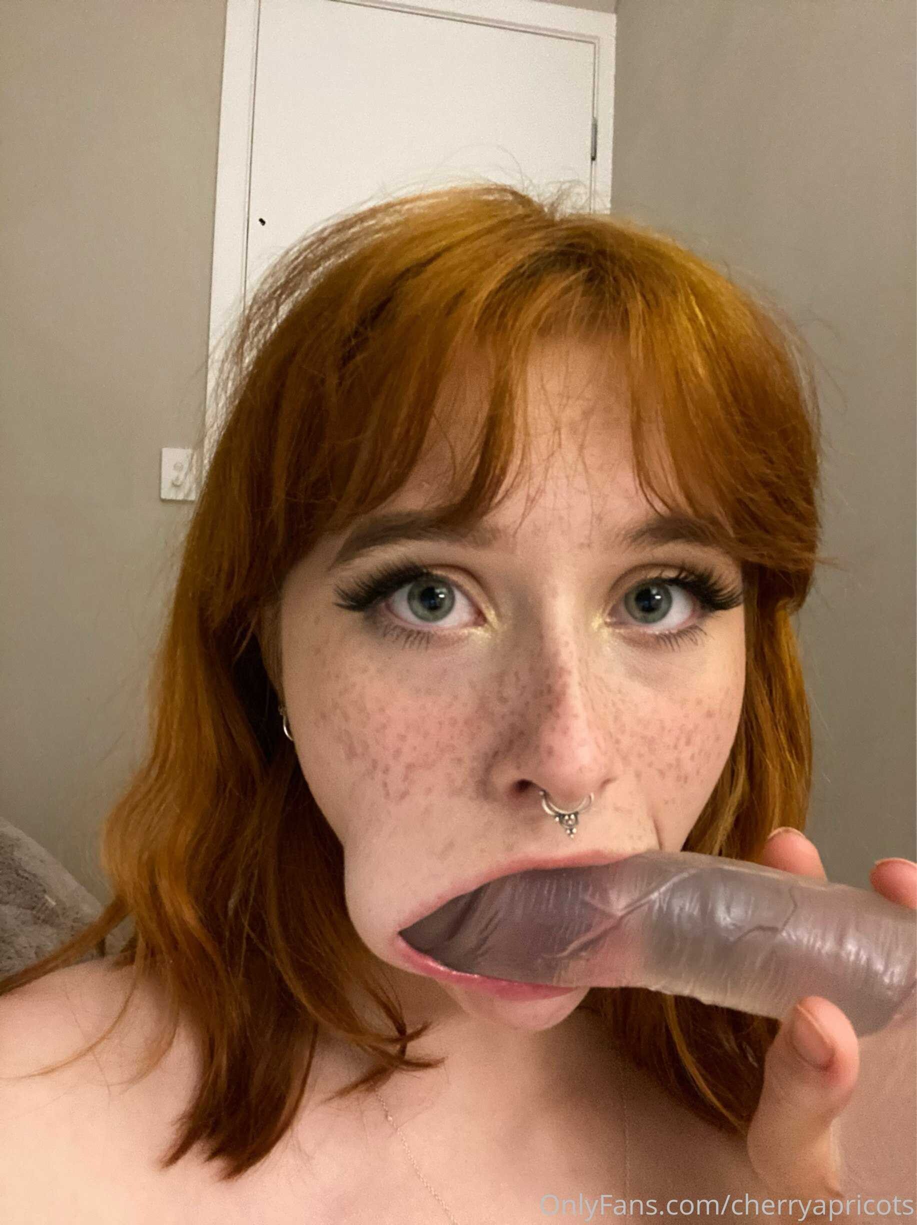 Cherry Apricot Photo #2