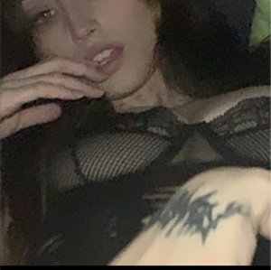 Caelydavis Photo #26