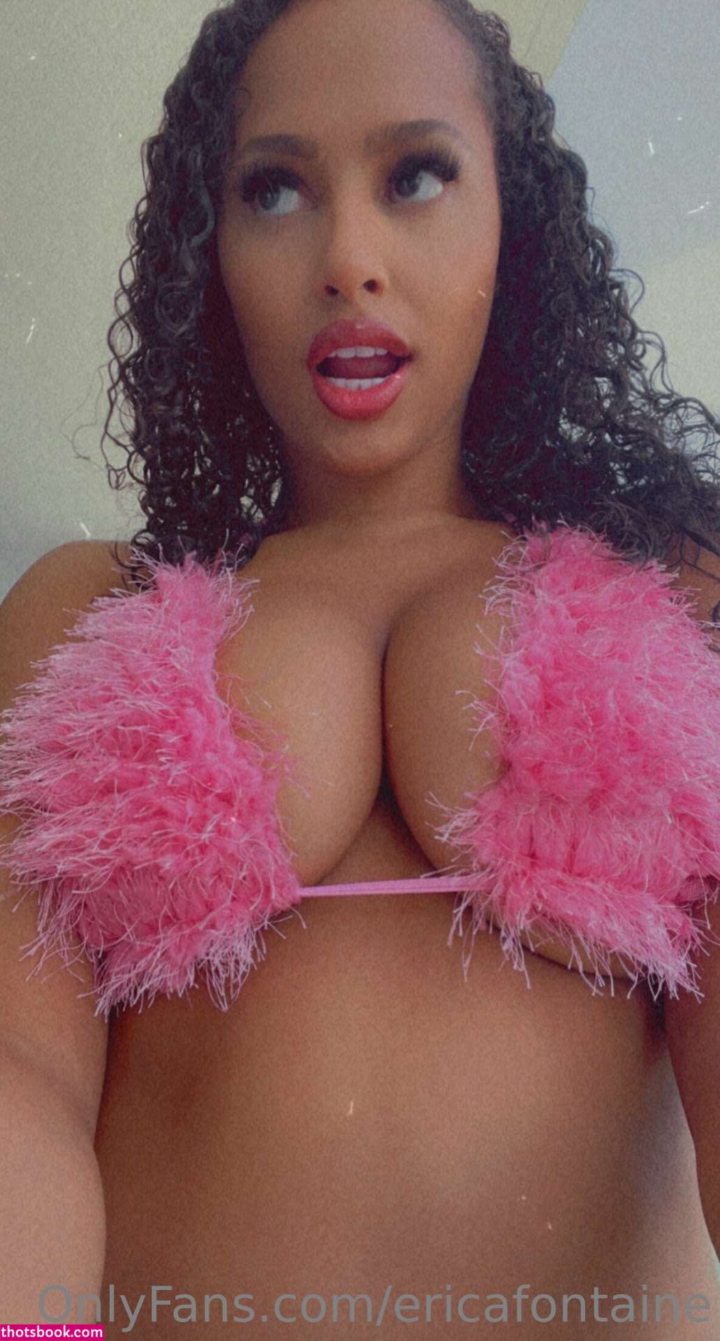 Erica Fontaine Photo #47