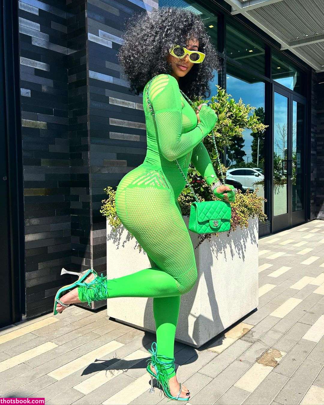 Himynamestee Photo #16