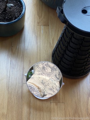 Butternutgiraffe Photo #70