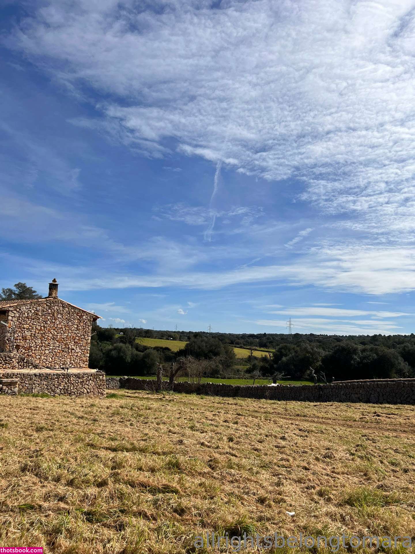 themaralyn Photo #155