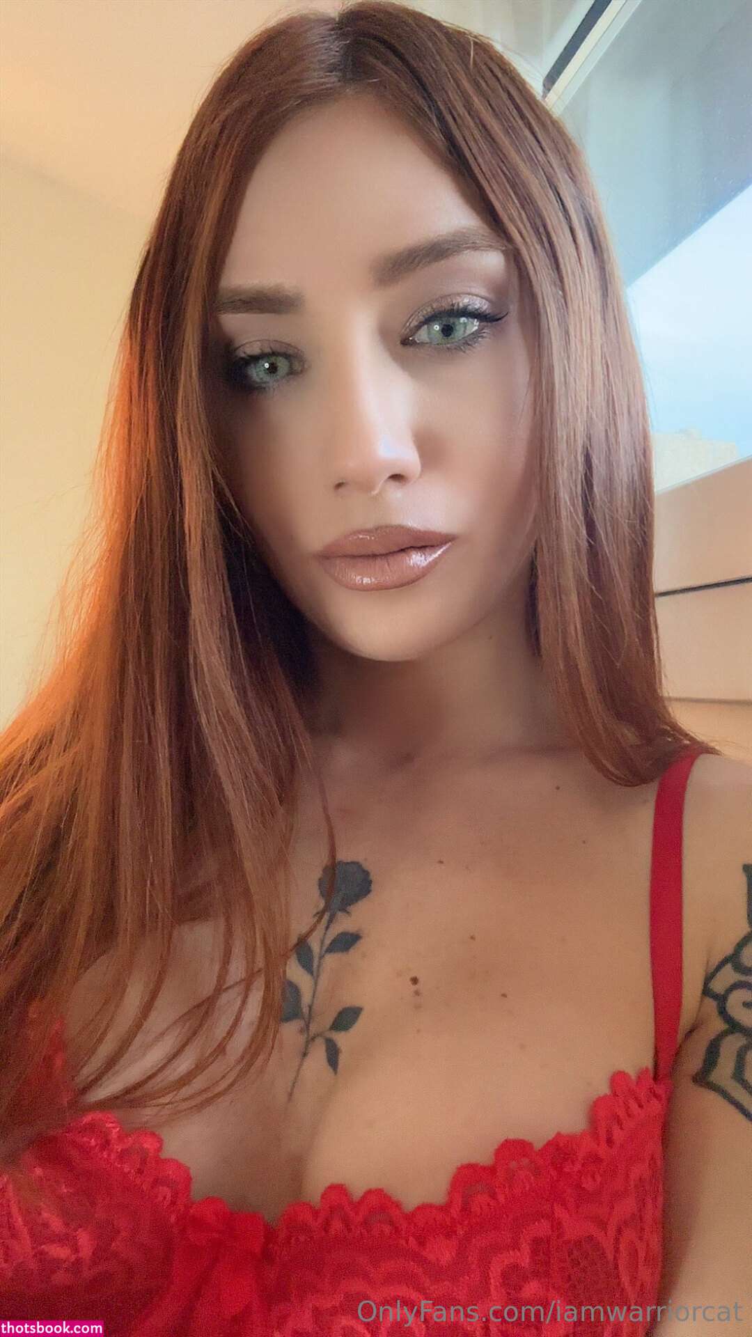 iamwarriorcat Photo #5