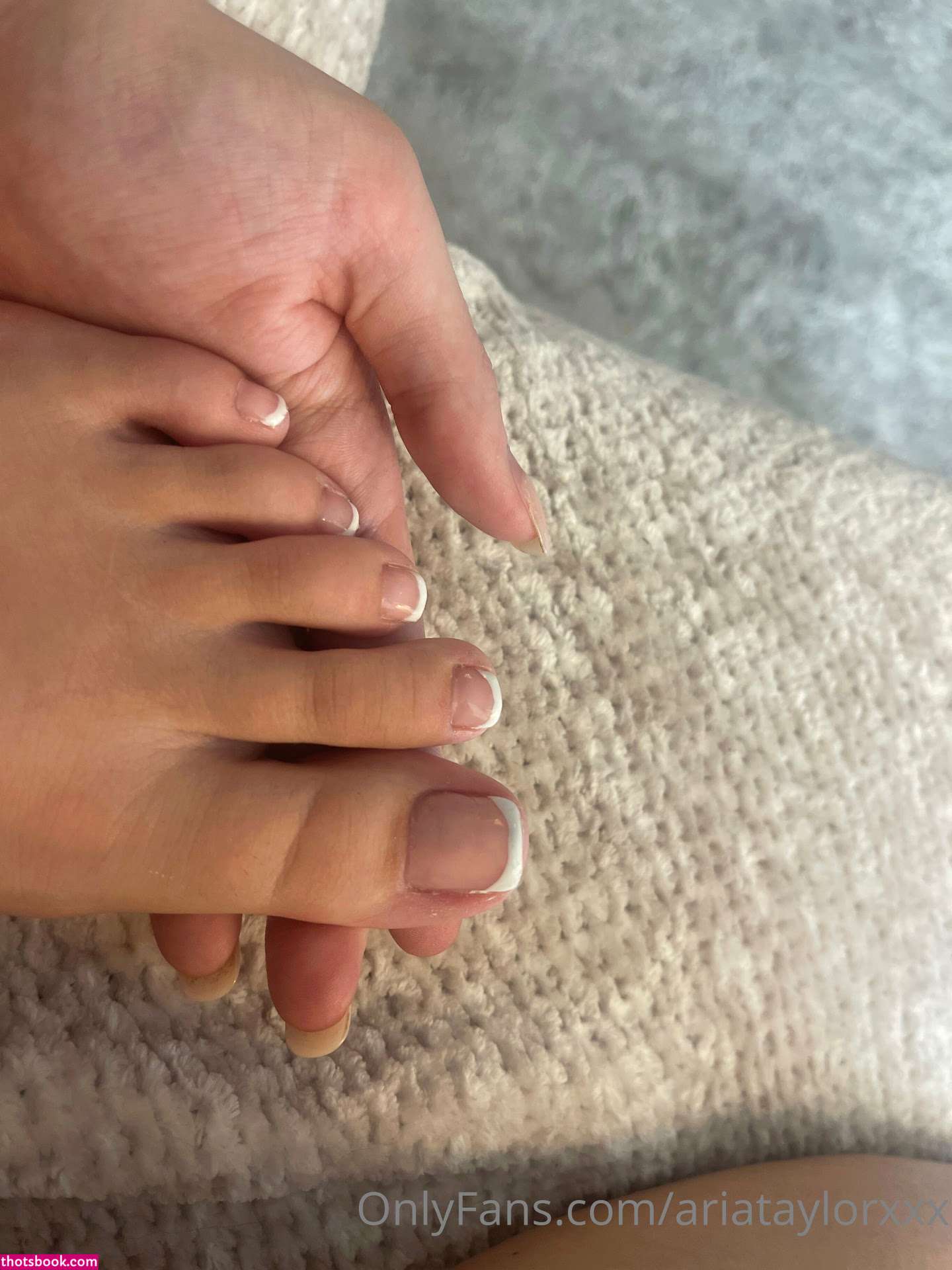 Aria Taylor Photo #101