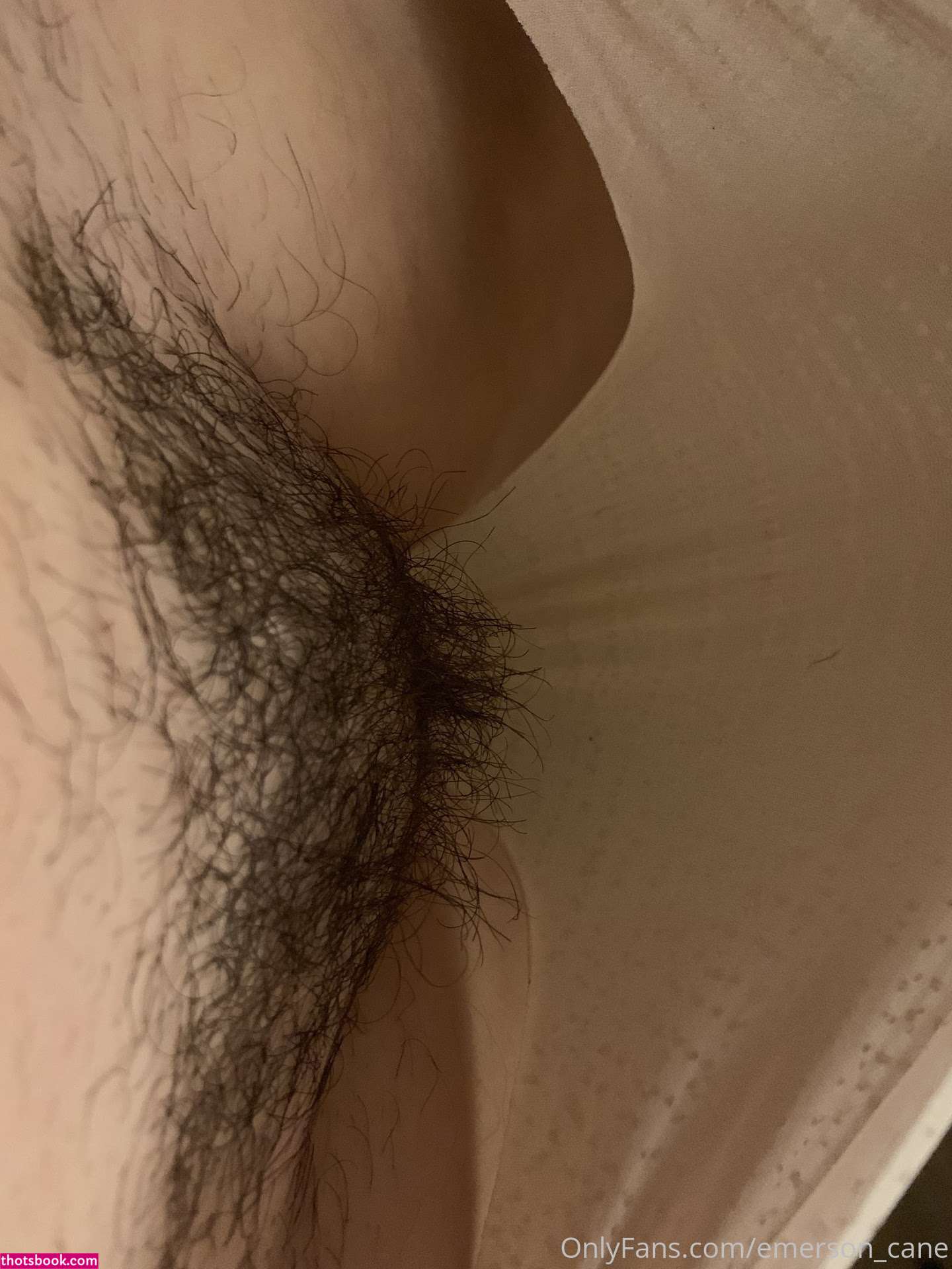 emersoncane Photo #474