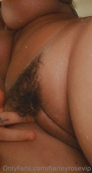 Hello Harley Photo #178