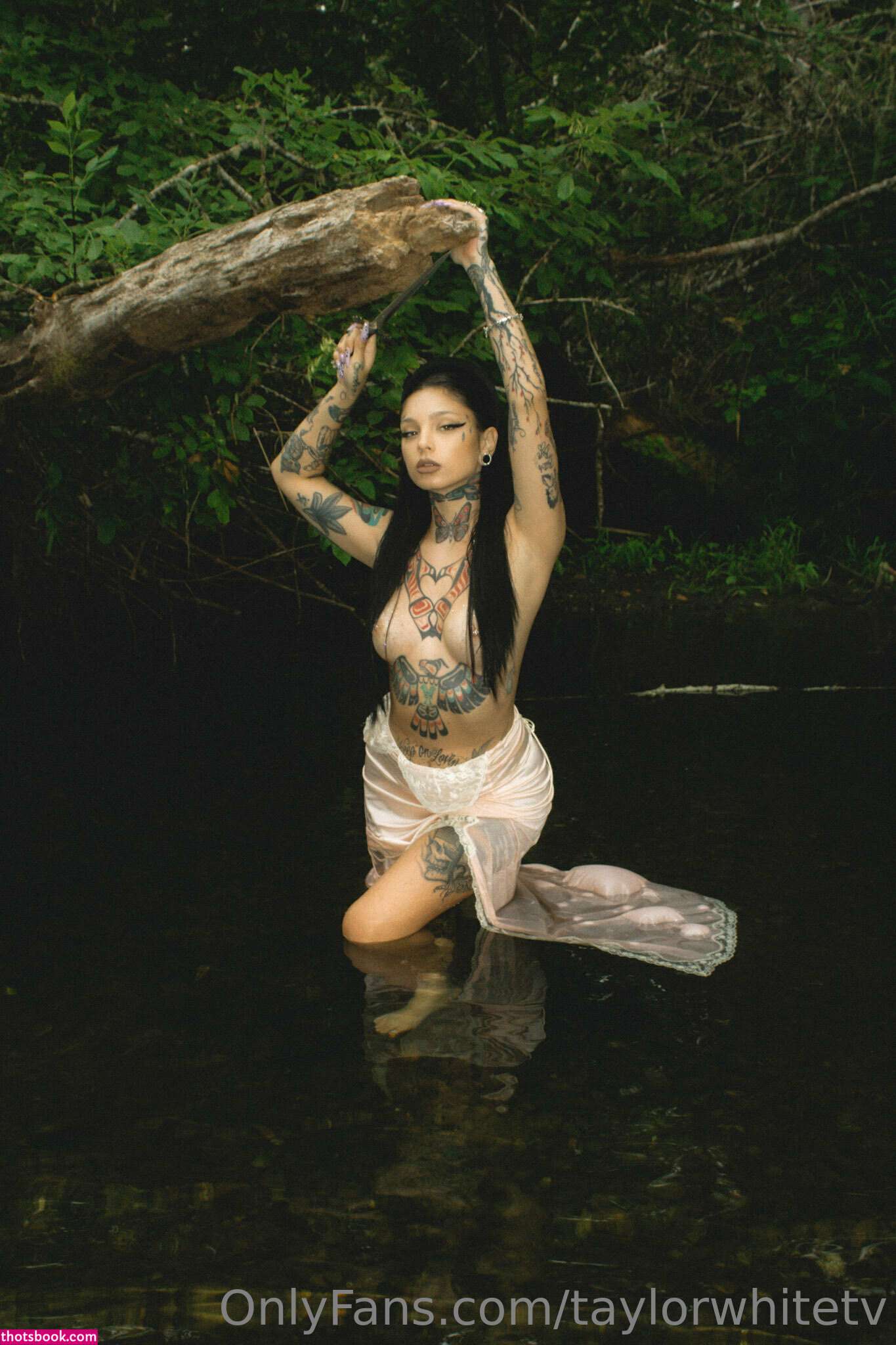 taylorwhitetv Photo #152