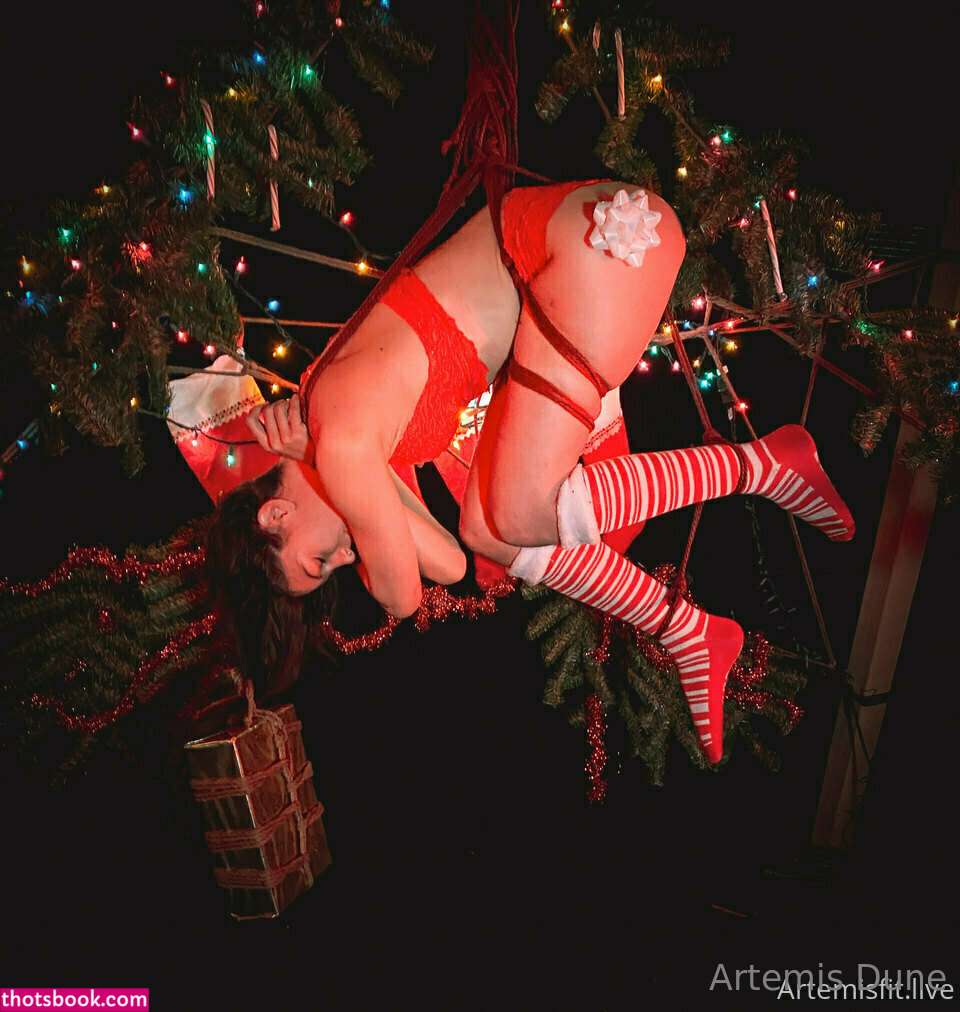 Artemisdune Photo #64