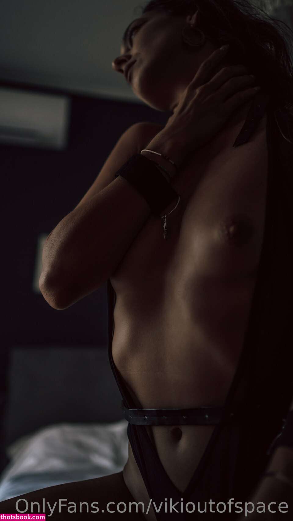 Vikioutofspace Photo #80