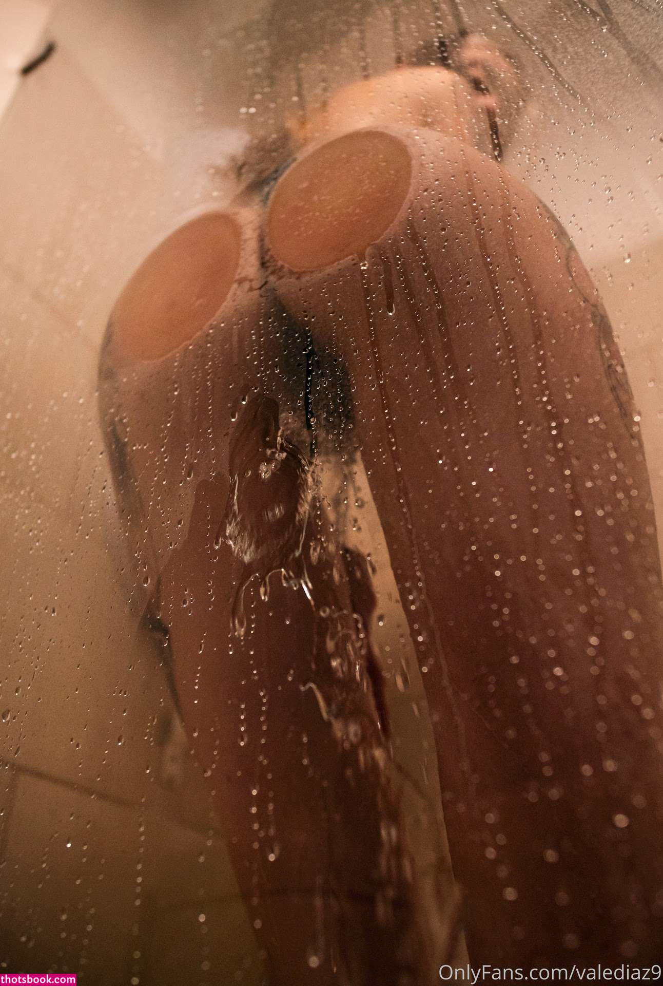 Valerie Diaz Photo #222