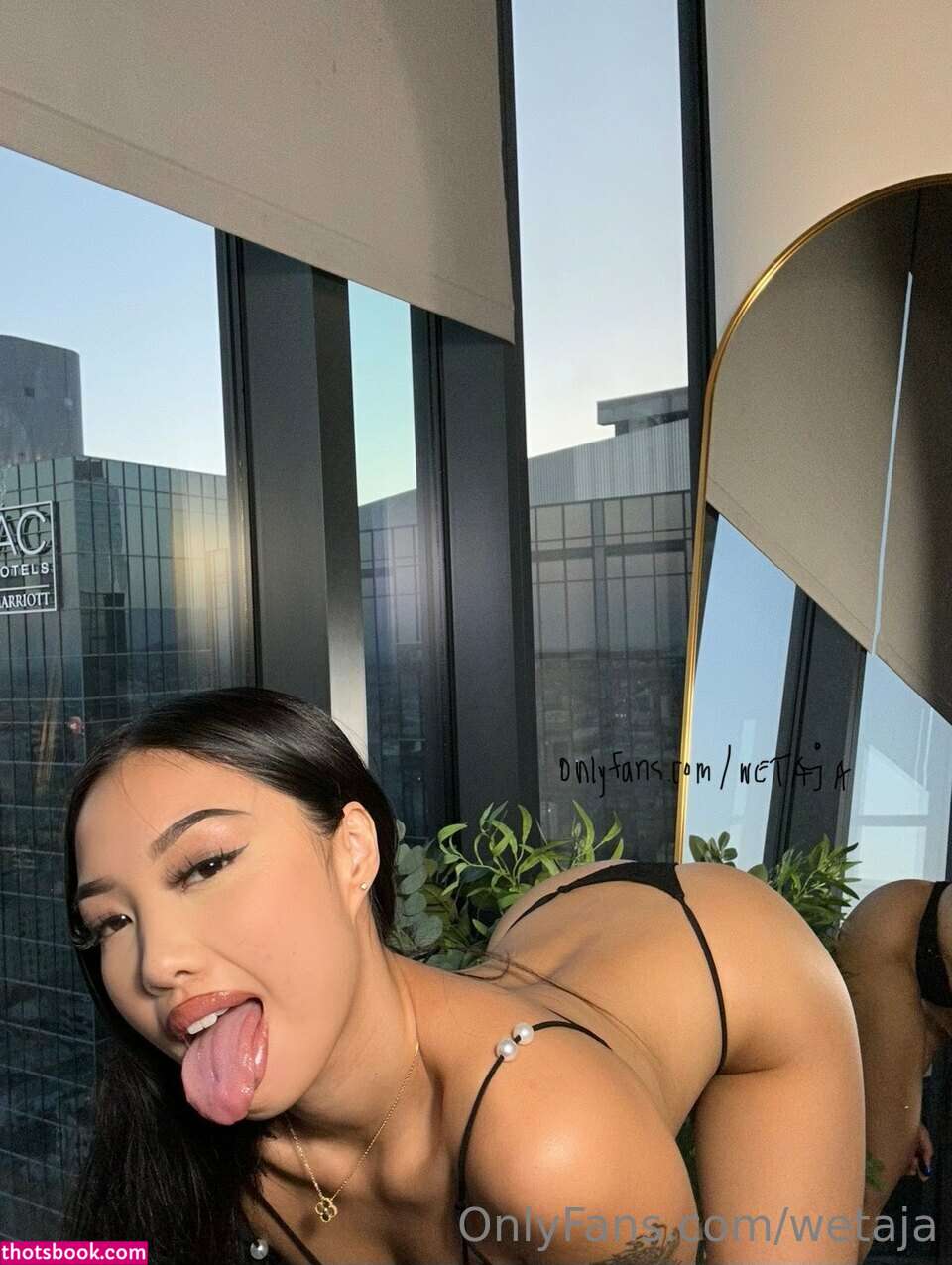 Romanlettuce Photo #53