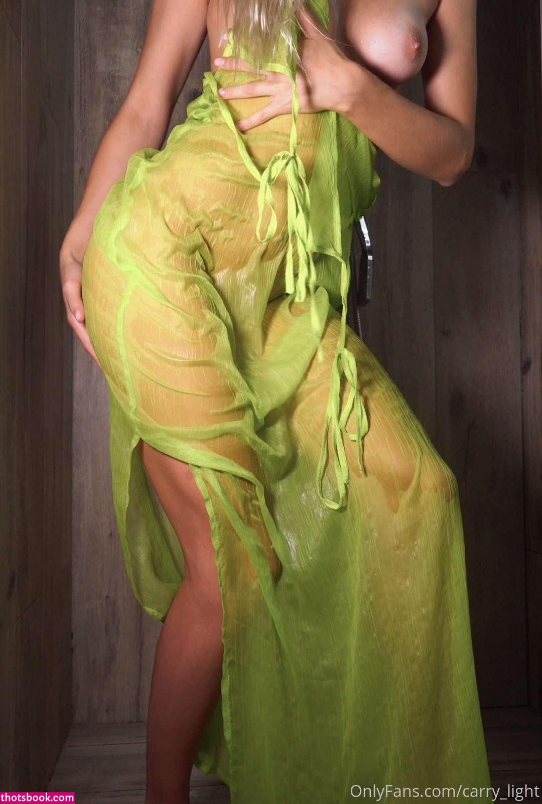 Carrylight Photo #17