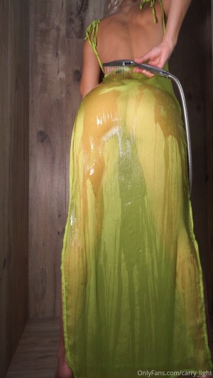 Carrylight Photo #16