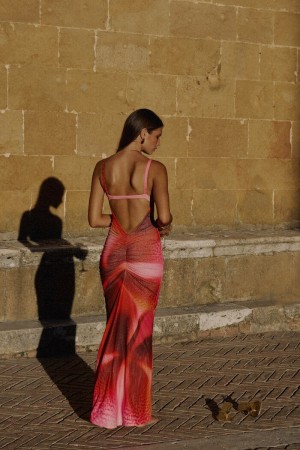 Rachelle Van Waardhuizen Photo #104