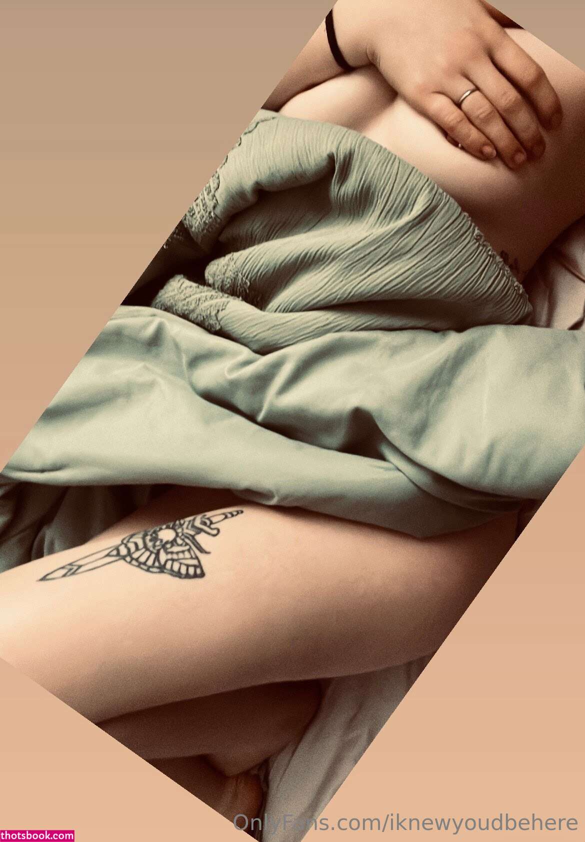 Dana Korkola Photo #7