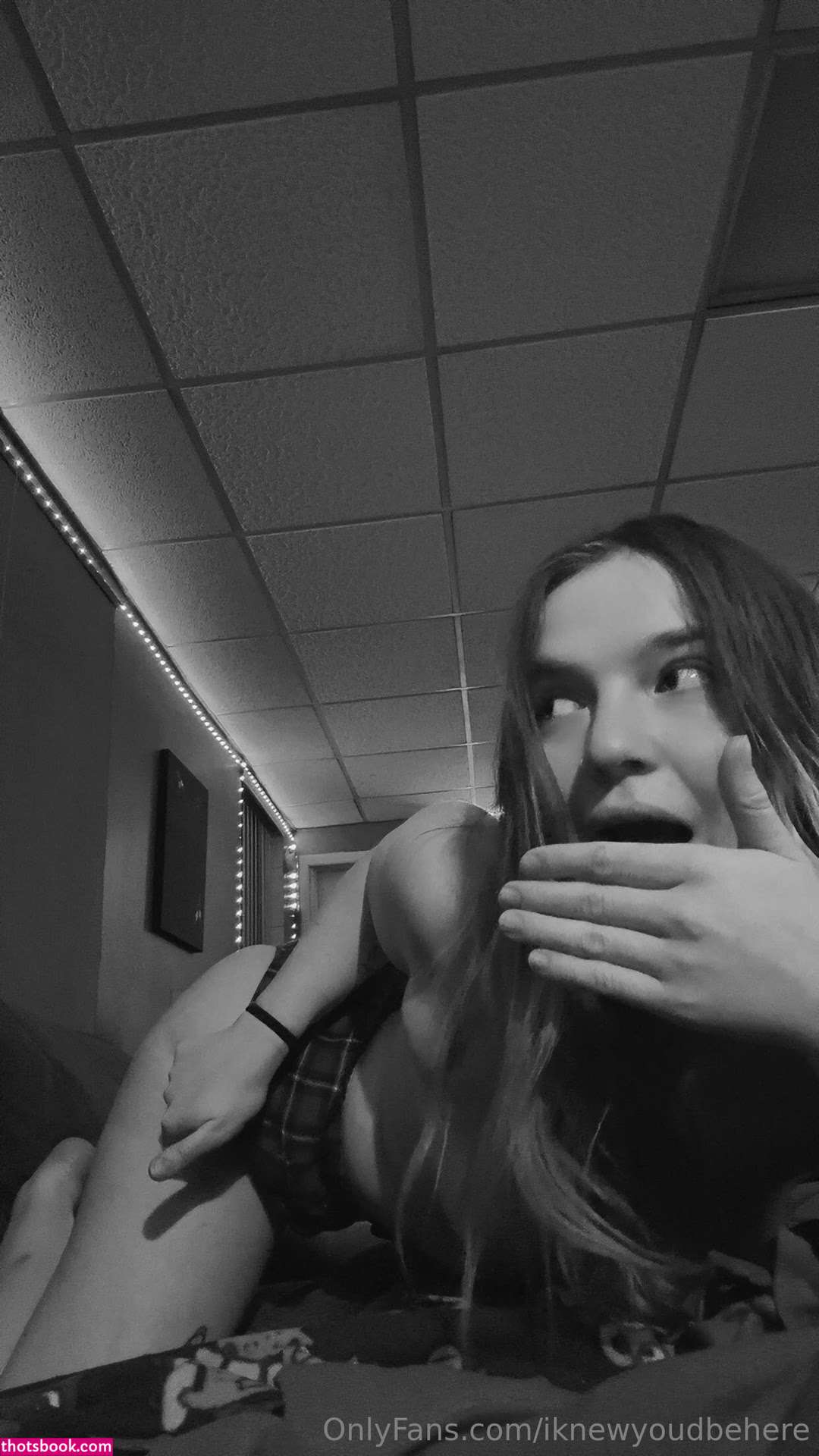 Dana Korkola Photo #17