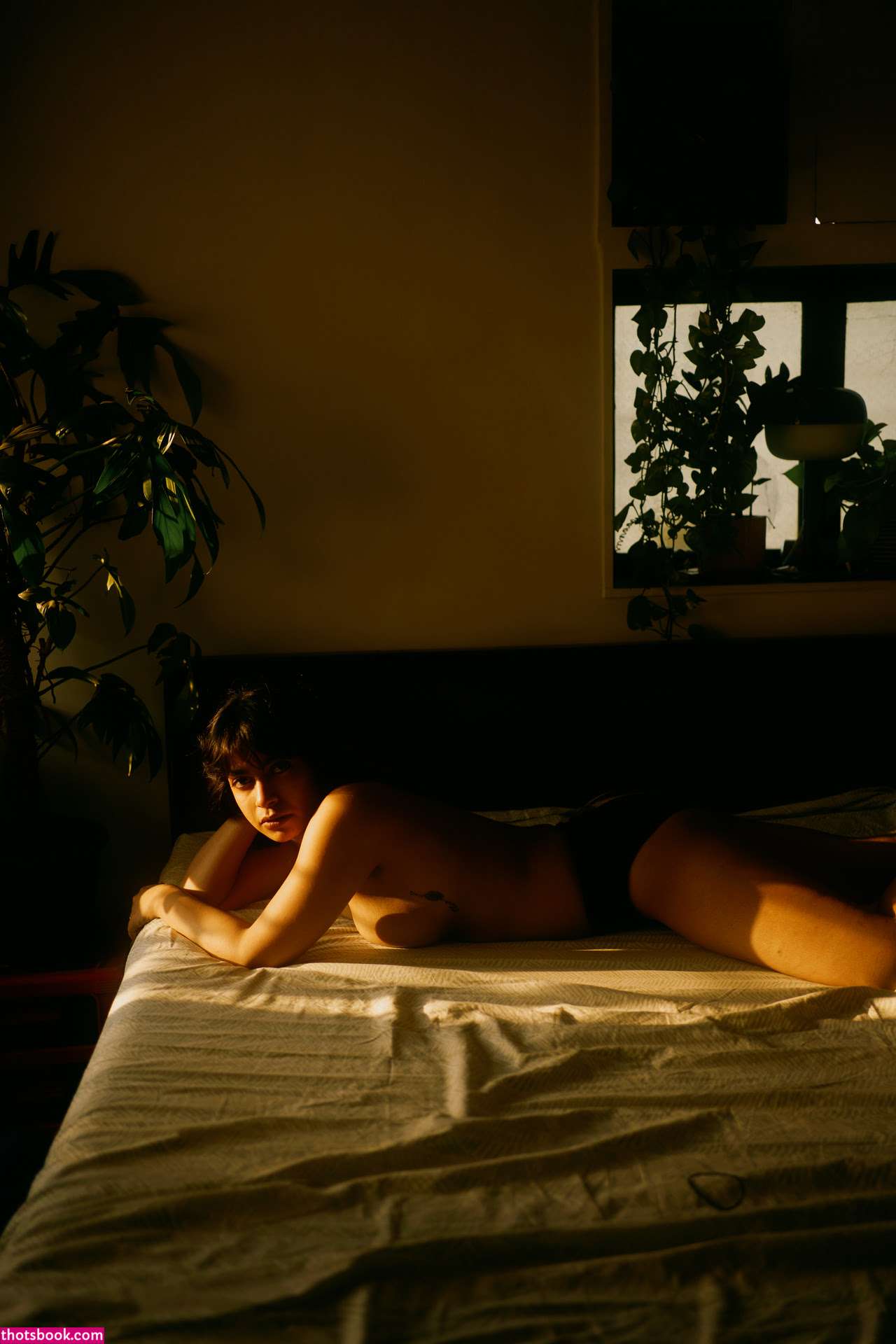 shivajisen Photo #24